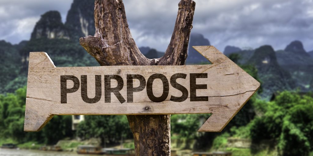 8 Surprising Reasons To Live With Purpose The Essay Expert