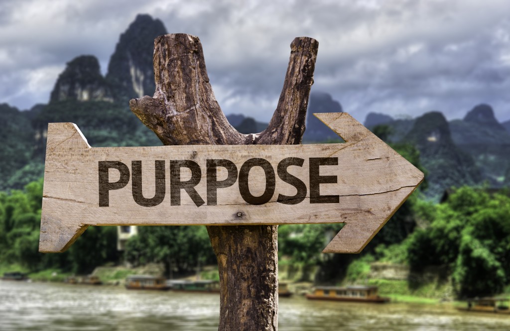 essay about purpose in life